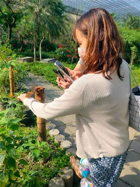 梔子花|梔子花｜亞泥生態園區官方網站植物生態－花蓮生態復